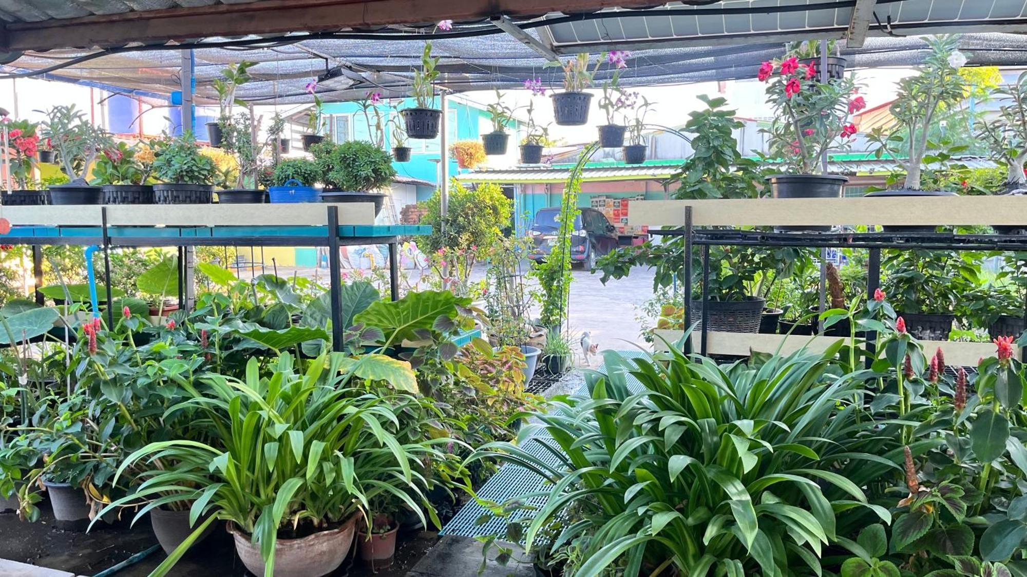Pa Chalermchai Guesthouse Bangkok Ngoại thất bức ảnh